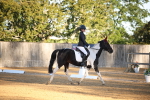 SBM_14586