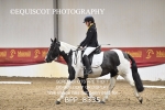 BPP_8335