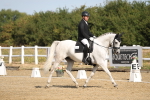 SBM_008494