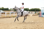 SBM_003682