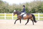 SBM_007558