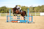 SBM_003334