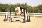 SBM_002194