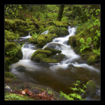 Lodore Falls II