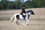 WJ7_7636