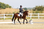 SBM_002420