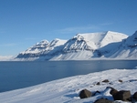 Gipsvika 02063