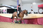 SBM_23683