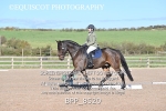 BPP_8520