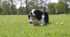 floss 2