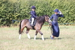 Class 17 - Lead Rein portfolio