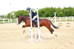 SBM_007889