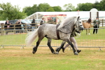 SBM_00464