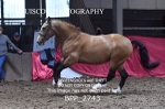 BPP_2743