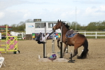 SBM_000381