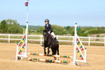 SBM_006677