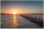 Sunny Morning at Oxford Island (IMG1145)