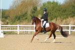 SBM_000828