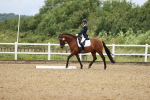SBM_000338