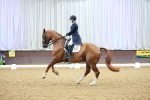 SBM_007766