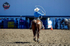 3HRodeo8-11-25_PRCASteer_00422_