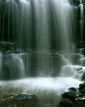 Scalebar Force