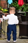 WILL-008
