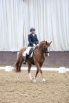 SBM_007537
