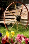 Wheel