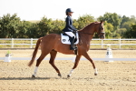 Class 6 - Novice 6 Silver - 9.00-10.00 portfolio