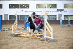 SBM_000239