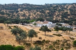 Sierra de Andújar, Andalucia, Spain