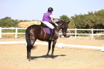 SBM_006619