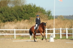 SBM_000163