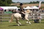 SBM_06919
