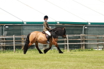 SBM_07097