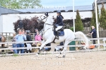 BPP_8441