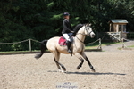 Cls 6 Snr British Novice and 90cm Open portfolio
