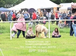 BPP_8945