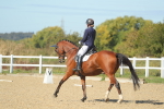SBM_001910