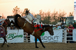 3HRodeo8-5-24_CFD_3HR-YUMA- 0800_