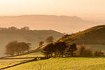 White Nancy from Rainow (2)