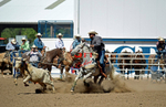 3HRodeo8-11-25_PRCASteer_07221_