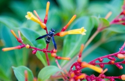 AnimalsCreatures _0032