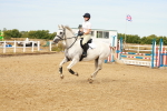 SBM_002339