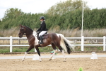 SBM_003621