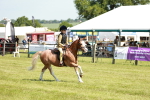 SBM_13584