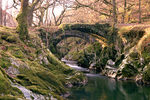 Pandy bridge spring