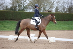 Unaffiliated Dressage portfolio