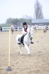 SBM_003856